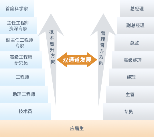 晉升發(fā)展雙通道