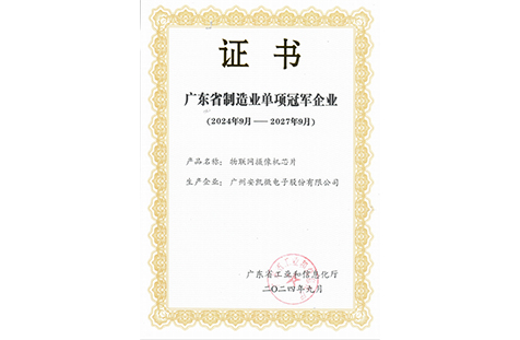 廣東省制造業(yè)單項冠軍企業(yè)